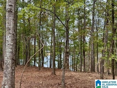 JUST REDUCED TO SALE THIS SUMMER!!!! Wonderful large cove lot - photo 5