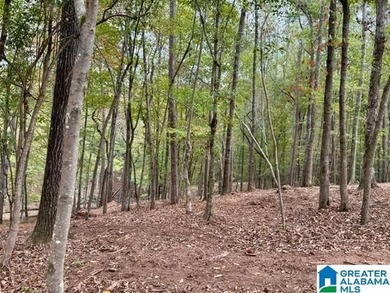 JUST REDUCED TO SALE THIS SUMMER!!!! Wonderful large cove lot - photo 6
