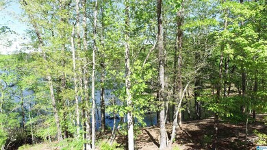 JUST REDUCED TO SALE THIS SUMMER!!!! Wonderful large cove lot - photo 8