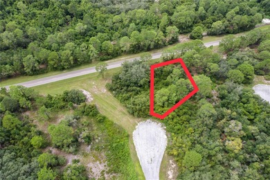 Lake Marion - Polk County Lot For Sale in Kissimmee Florida