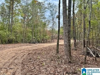 JUSTED REDUCED TO SALE THIS SUMMER11111 Wonderful 2.86 acre cove - photo 7