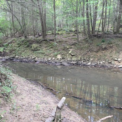 Lake Acreage For Sale in Sunbright, Tennessee
