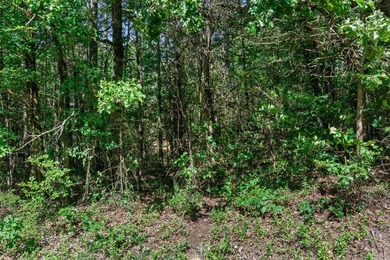Rare opportunity to own a large collection of city lots tucked - photo 12
