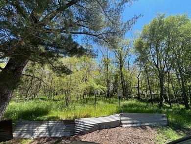 This wooded building site located in the Miller Beach area of - photo 2