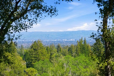 Welcome to Montalvo Manor, a once-in-a-generation opportunity to - photo 8