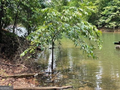Lake Lot For Sale in Westminster, South Carolina