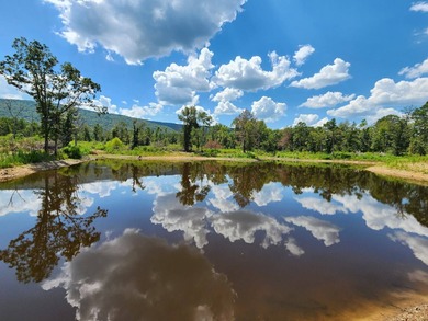 (private lake, pond, creek) Acreage For Sale in Talihina Oklahoma