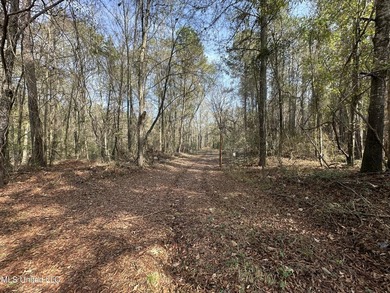 This offering includes four separate 38+/- acre tracts in - photo 6