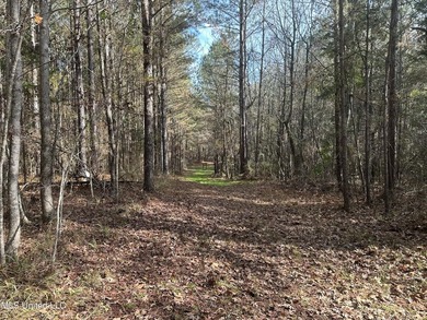 This offering includes four separate 38+/- acre tracts in - photo 8