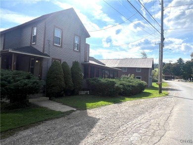 Lake Home For Sale in Homer, New York