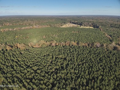 This offering includes four separate 38+/- acre tracts in - photo 5