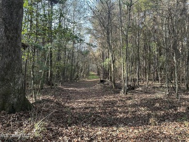 This offering includes four separate 38+/- acre tracts in - photo 7
