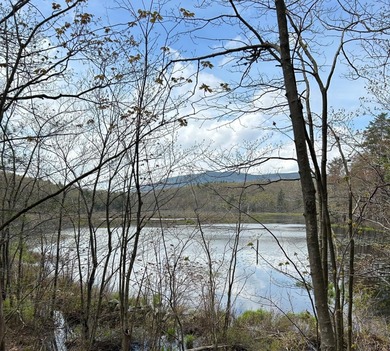 (private lake, pond, creek) Acreage For Sale in Dublin New Hampshire