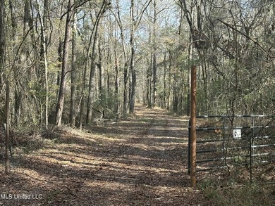 This offering includes four separate 38+/- acre tracts in - photo 2