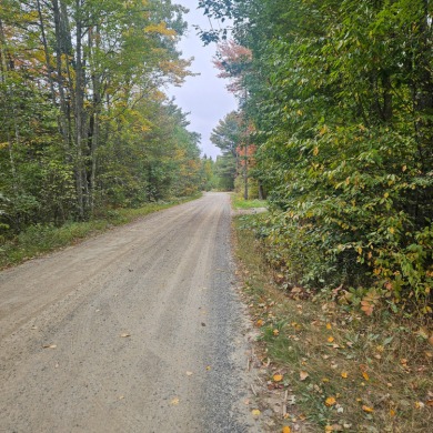 Lake Lot For Sale in Mariaville, Maine