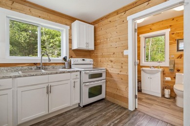 This is where lake living dreams come true - your perfect - photo 37