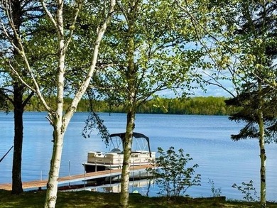 This is where lake living dreams come true - your perfect - photo 45