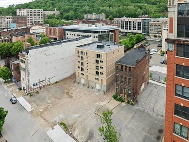3rd floor Condo overlooks the Ohio River & Wheeling Heritage - photo 8