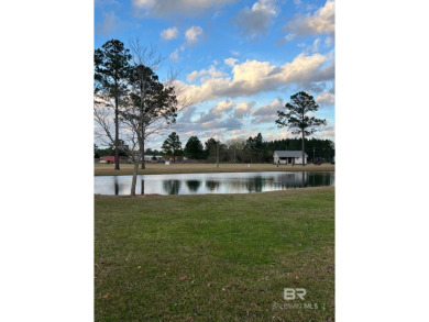 (private lake, pond, creek) Home For Sale in Lillian Alabama