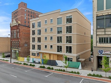 4th floor Condo overlooks the Ohio River & Wheeling Heritage - photo 3