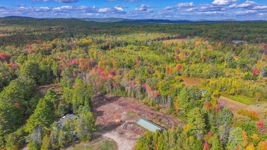 Beaver Pond Acreage For Sale in Bridgton Maine