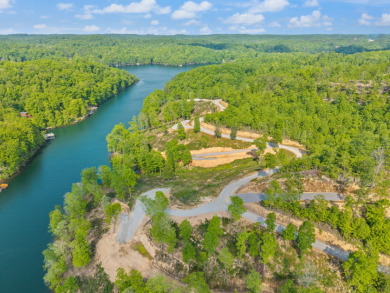 LAKE FRONT BUILDING LOT SLEEPY HOLLOW LOT 8 - photo 14