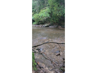 (private lake, pond, creek) Acreage For Sale in Jamestown Tennessee