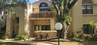 (private lake, pond, creek) Condo For Sale in Safety Harbor Florida