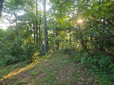 Build Your Dream Home by the Water! This prime lot offers the - photo 11