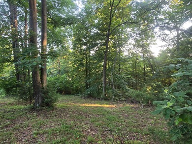 Build Your Dream Home by the Water! This prime lot offers the - photo 12