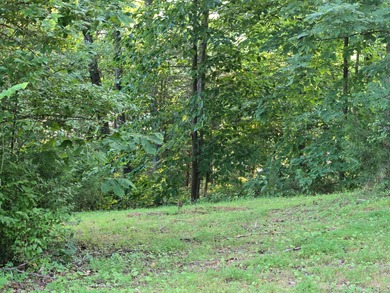 Build Your Dream Home by the Water! This prime lot offers the - photo 14
