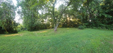 Build Your Dream Home by the Water! This prime lot offers the - photo 15