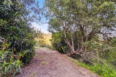 Sale includes two parcels totaling 7.787 acres. The - photo 33