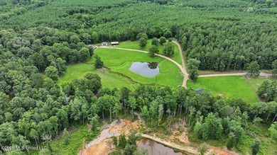 Nestled on more than 8 acres at the end of a quiet dead-end - photo 43