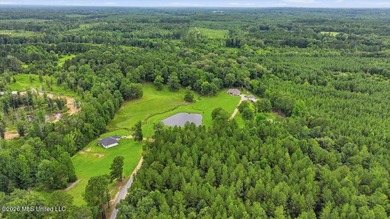 Nestled on more than 8 acres at the end of a quiet dead-end - photo 49