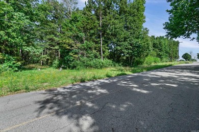 Rare opportunity to own a large collection of city lots tucked - photo 11