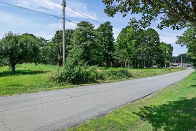 Rare opportunity to own a large collection of city lots tucked - photo 13