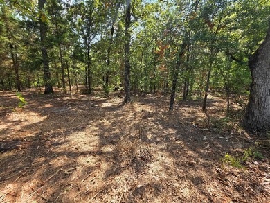 Lake Bob Sandlin Acreage For Sale in Mount Pleasant Texas