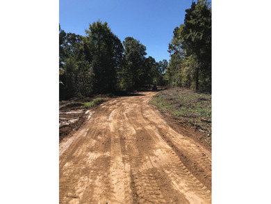 Spanning approximately 140+/- acres, this exceptional tract - photo 2