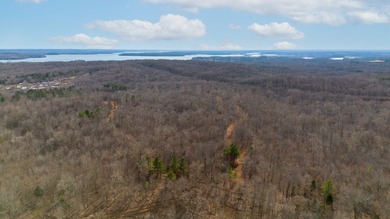 Spanning approximately 140+/- acres, this exceptional tract - photo 3