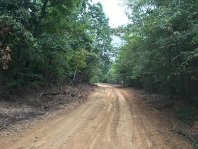 Spanning approximately 140+/- acres, this exceptional tract - photo 4