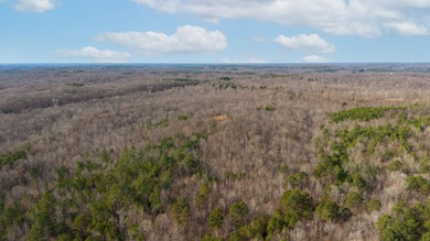 Spanning approximately 140+/- acres, this exceptional tract - photo 5
