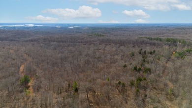 Spanning approximately 140+/- acres, this exceptional tract - photo 6