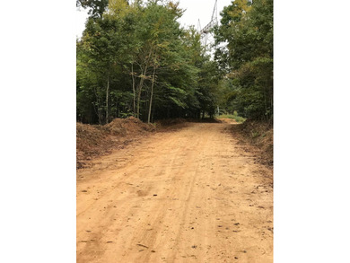 Spanning approximately 140+/- acres, this exceptional tract - photo 7