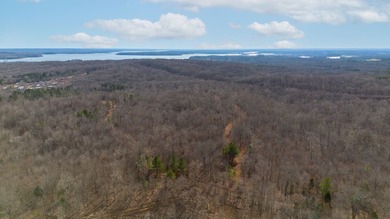 Spanning approximately 140+/- acres, this exceptional tract - photo 8