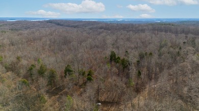 Spanning approximately 140+/- acres, this exceptional tract - photo 10