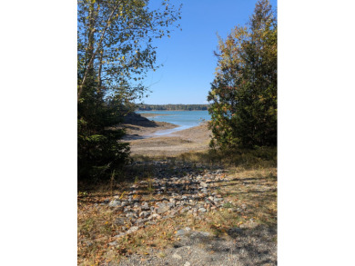 Lake Lot For Sale in Trescott Twp, Maine