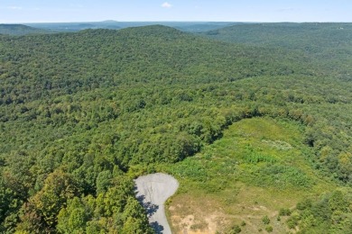 Lake Acreage For Sale in Spencer, Tennessee