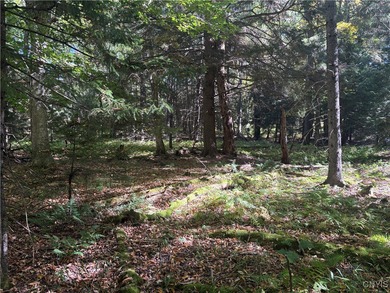 First Lake Lot For Sale in Old Forge New York