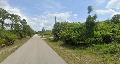 Lehigh Acres Area Lot Sale Pending in Lehigh Acres Florida